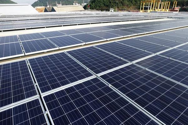 Expert Solar Services in Danville: Companies You Can Trust