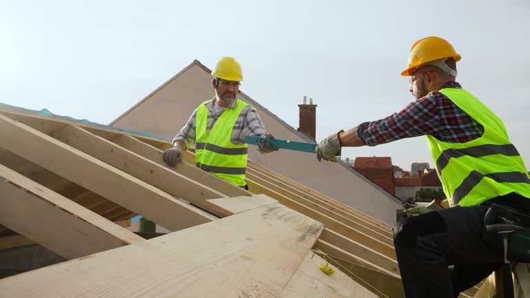 Professional Roofing Contractor for Repairs and Replacements