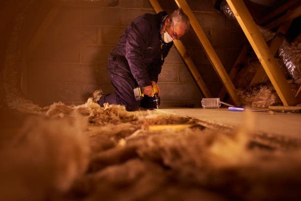 Top-Rated Prince George insulation company in Your Area