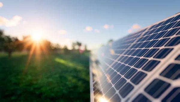 Solar Panel Generation for Businesses: What You Need to Know