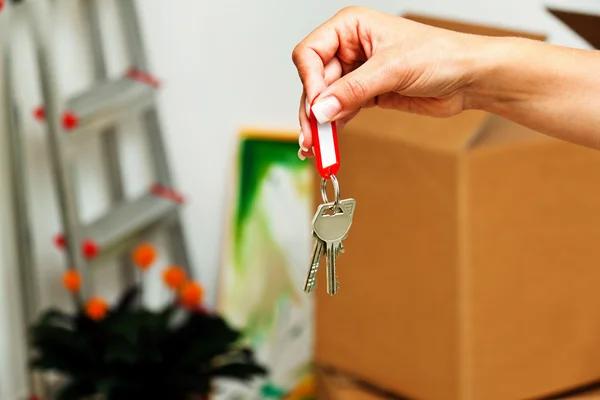 Apartment Rentals Explained From Search to Move In