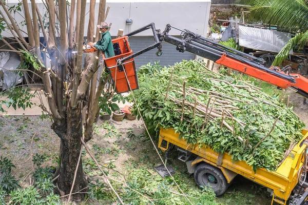 Top-Rated tree service lake geneva for Emergency Tree Removal