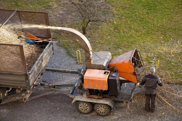 Best Tree Service Tallahassee for Residential Yard Maintenance