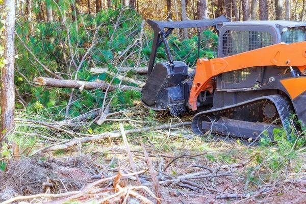 Why Choose The Tree Guys Services in Jackson MI for Quality Tree Maintenance