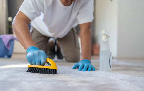 Depend on Rug Cleaning Phoenix for Quality Results