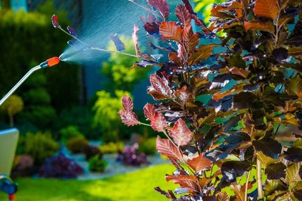 Patriot Pest Control for Complete Residential Pest Control